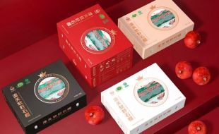 高端創(chuàng)意包裝盒，帶來不一樣的視覺盛宴——櫻美包裝