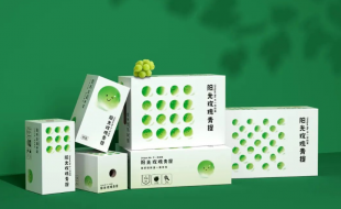 農(nóng)場插圖設(shè)計(jì)的陽光青提水果特產(chǎn)禮盒-櫻美包裝